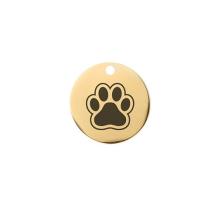 Gouden Dierenpenning Klein met Paw Print