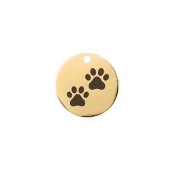 Gouden Dierenpenning Klein met Paw Print